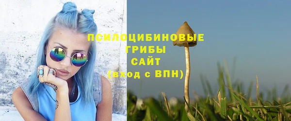 соль ск Елабуга