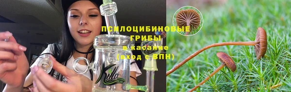метамфетамин Алексеевка