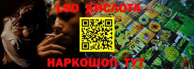 ешки Новодвинск