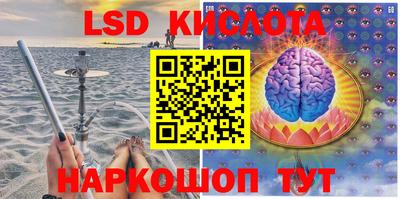 гашик Новокубанск