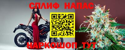 гашик Новокубанск