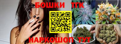 ешки Новодвинск