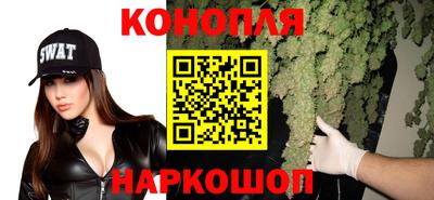 spice Нальчик