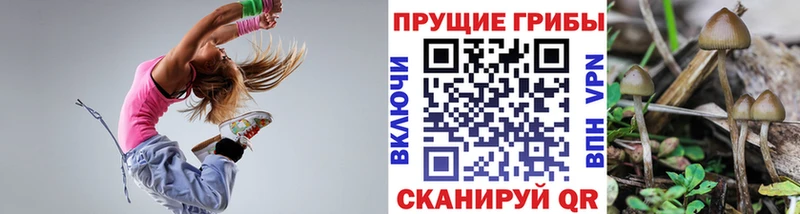 Псилоцибиновые грибы ЛСД Соликамск