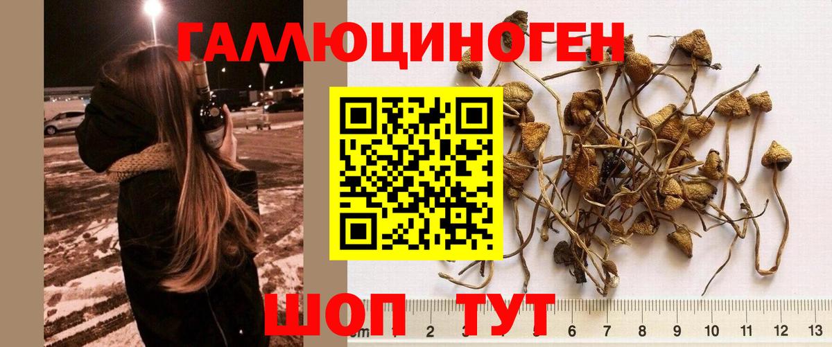Соликамск  Псилоцибиновые грибы GOLDEN TEACHER  где купить   Вход с VPN 