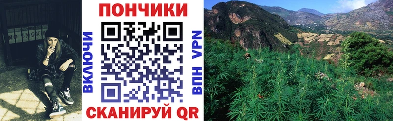 Бошки Шишки семена  Соликамск 